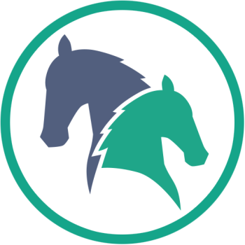 logo-staluit